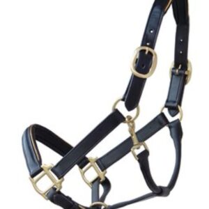 Leder-Halfter (pony) *personalisiert*