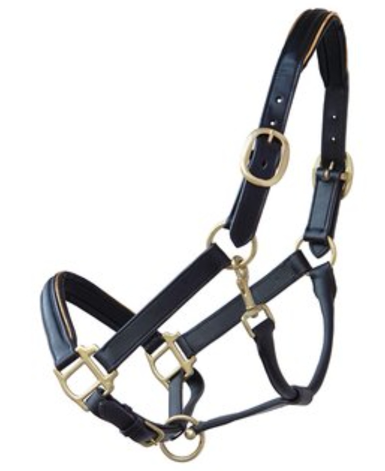 Leder-Halfter (pony) *personalisiert*